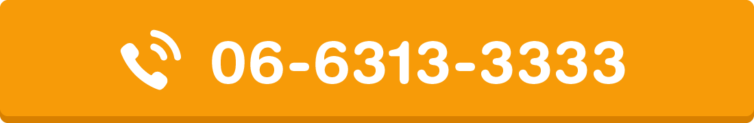 06-6313-3333
